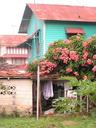 Quepos home.